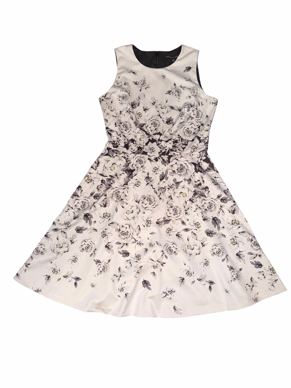 Women's WHBM Ivory Floral Fit-and-Flare Dress